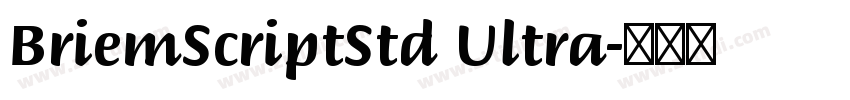BriemScriptStd Ultra字体转换